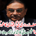 See Salim Safi's remarkable comment