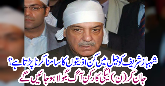 Does Shahbaz Sharif face suffering in jail?
