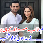 Shoaib Malik heard the good news to the fans