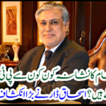 Ishaq Dar revealed a lot