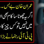 The PTI leader raised a big question