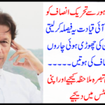 See a living political comment and give your opinion in the comments