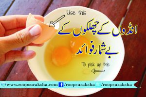 Many benefits of egg peas