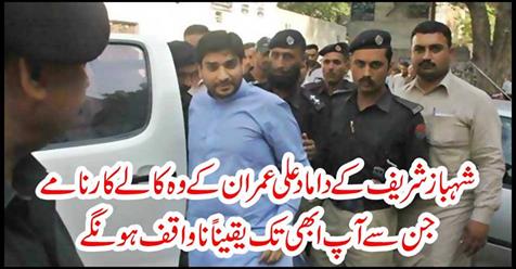 Those blacklisted by Shahbaz Sharif's son-in-law Ali Imran