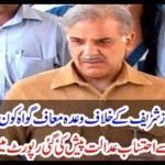 NAB's accountability court was presented