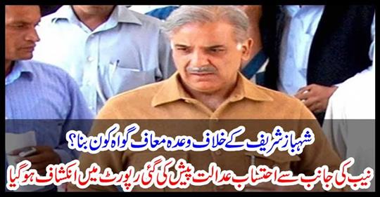 NAB's accountability court was presented