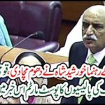 Khursheed Shah, the PPP's leader, has blamed