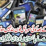 The PTA heard the great news of Pakistanis