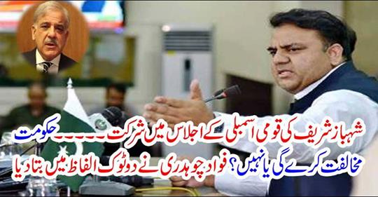 Fawad Chaudhary said in a dreadful word