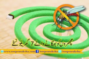 7 household presents of mosquitoes