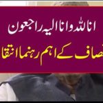 The main leaders of the Tehreek-e-Insaf were killed