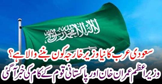 Prime Minister Imran Khan and Pakistani nation's work came to know