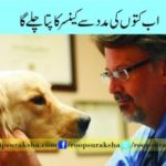 Now the dogs will find a diagnosis of cancer