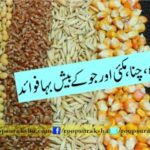 Benefits of millet, sugar, maize and whatever