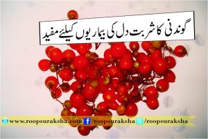 گوندنی کا شربت دل کی بیماریوں کے لیے مفید