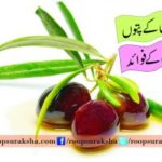 Olive leaves and oil benefits
