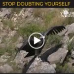 self-doubt-kills-more-dreams-than-failureever-will