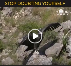self-doubt-kills-more-dreams-than-failureever-will