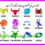 Bridge or star features and potential effects