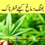 Dangerous for brain brain