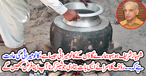 Shahbaz Sharif Ho Bahu is like our village Kalalo Heritage