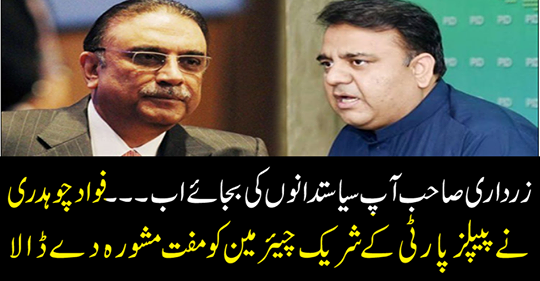 Fadad Chaudhry gave free consultation to the PPP's co-chairman