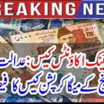 The court heard the decision of mega corruption of domestic history