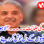 The news from the Lahore High Court (N) leagues was pleased