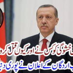 Who and why killed Jamal Khattagi?