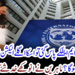 Experts expressed their concerns