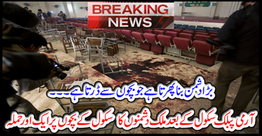Another attack on the country's children's school children after the Army Public School