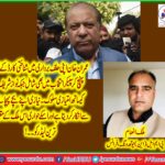 Malik Inam, Information Secretary,, pmln, youth wing, France, congratulated, the, pmln, leadership, on, classic, win, by-election