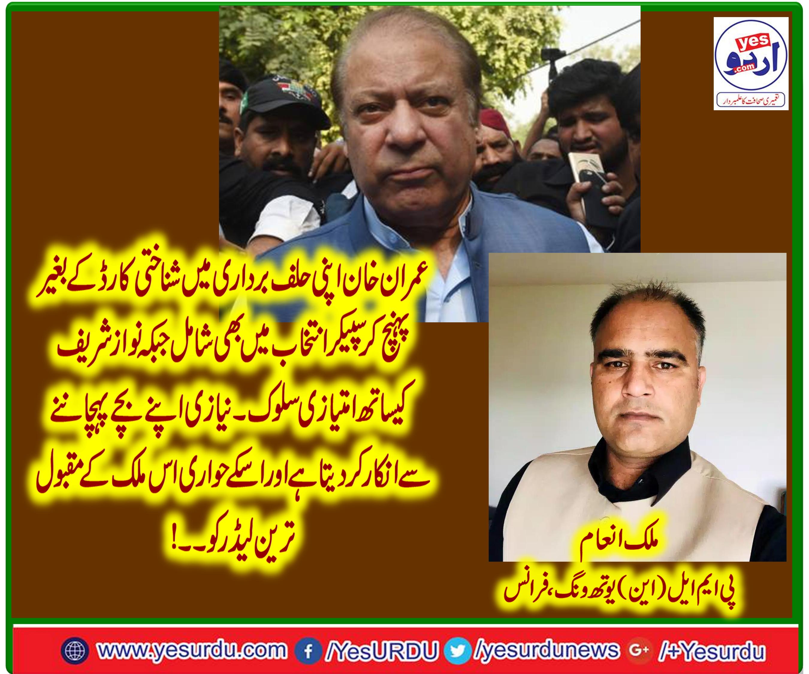 Malik Inam, Information Secretary,, pmln, youth wing, France, congratulated, the, pmln, leadership, on, classic, win, by-election