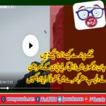 watch, how, bbc, camera man, saves, footage,of, first, flight, by, a, seagull