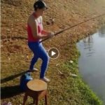 She is hunting fish – watch video