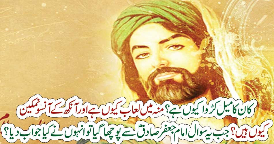 کان کا میل کڑوا کیوں ہے؟ منہ میں لعاب کیوں ہے اور آنکھ کے آنسو نمکین کیوں ہیں؟جب یہ سوال امام جعفر صادقؑ سے پوچھا گیا تو انہوں نے کیا جواب دیا؟