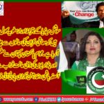 ASIFA HASHMIR, SECRETARY, INFORMATION, PTI, FRANCE