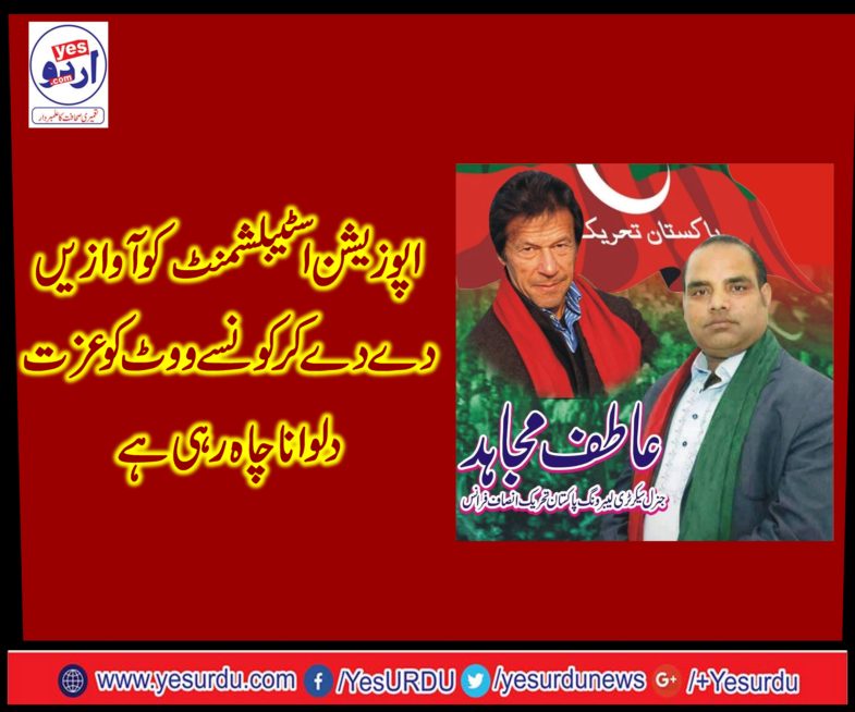 ATIF MUJAHID, SENIOR, LEADER, PTI, FRANCE, SAID, HOW, CAN, OPPOSITION, SEEK, REPUTE, FOR, VOTE, WHILE, CALLING, ESTABLISHMENT