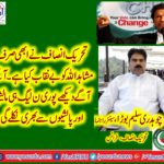 CHAUDHRY SALEEM BORA, SIENIOR, LEADER, PTI, FRANCE, TALK, ABOUT, MUSHAHIDULLAH, GRAVE, BEHAVIOR, IN, SENATE