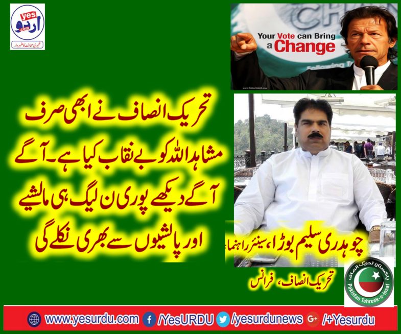 CHAUDHRY SALEEM BORA, SIENIOR, LEADER, PTI, FRANCE, TALK, ABOUT, MUSHAHIDULLAH, GRAVE, BEHAVIOR, IN, SENATE