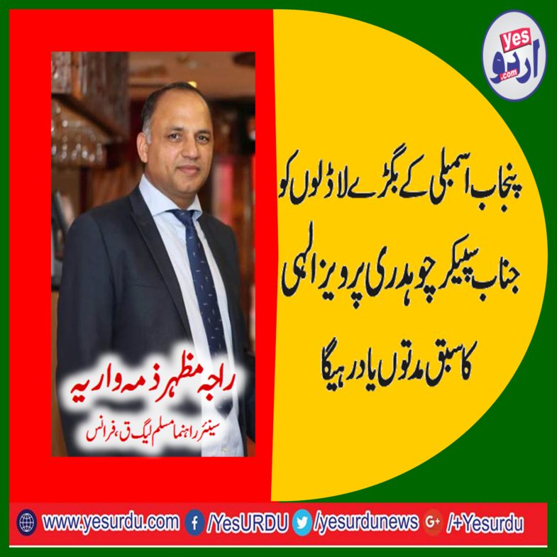 raja mazhar zimawaria, SENIOR, LEADER, PMLN Q, FRANCE, SAYS, SPOILED, POLITICIANS, ARE, BEING, TAUGHT, BY, CHUADHRY PERVEZ ILAHI