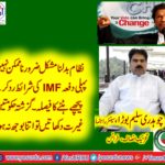 CHAUDHRY SALEEM BORA, SENIOR, LEADER, PTI, FRANCE, SAYS, ABOUT, PTI, POLICIES
