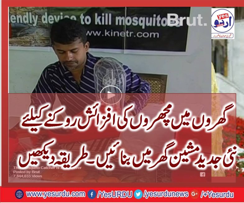 HE, INVENTED, AN ,ECO-FRIENDLY ,CONTRAPTION, THAT, WILL, SAVE ,YOU, FROM ,MOSQUITOES