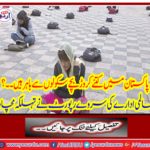 Survey Report of the LSM Institute has said