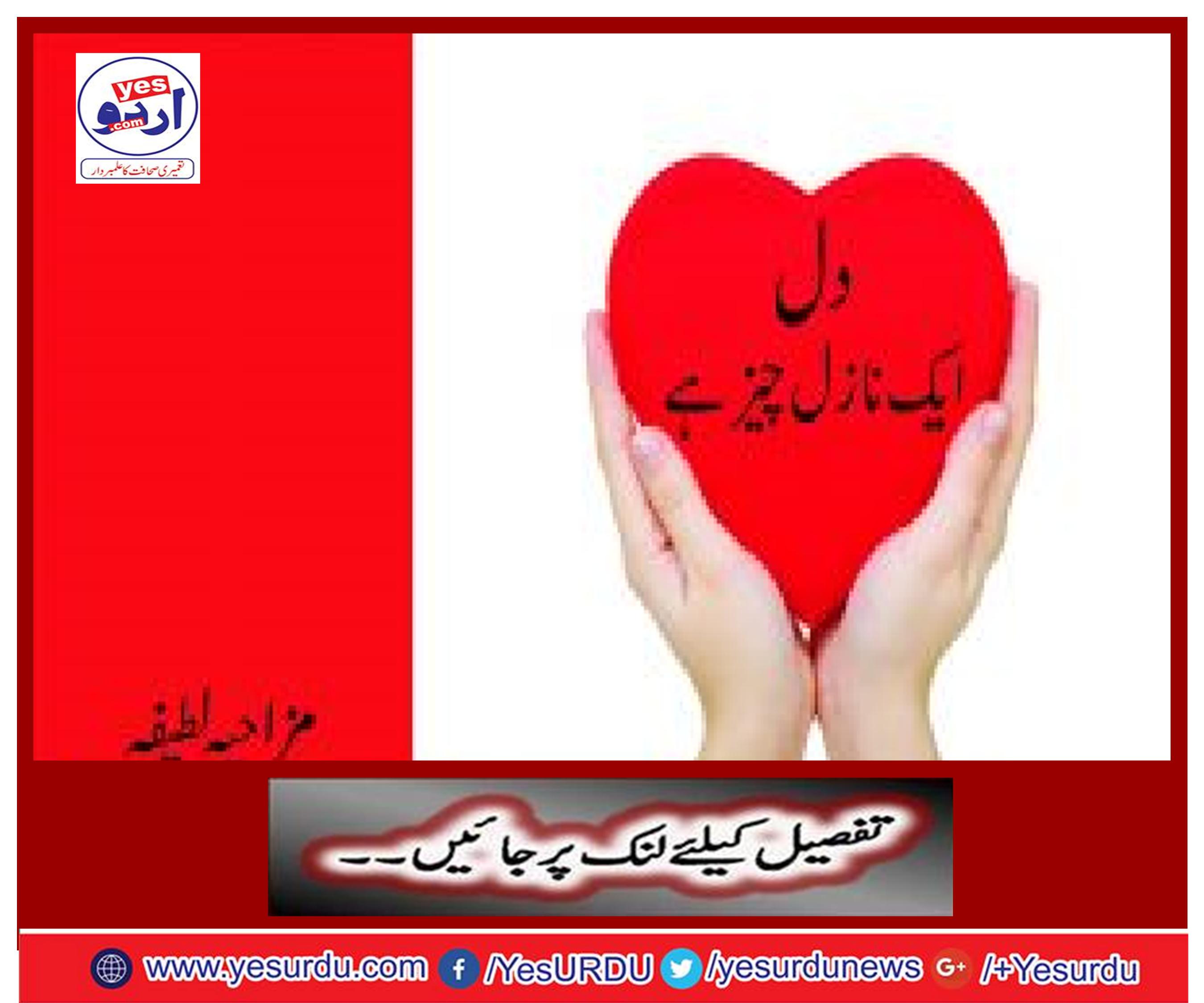 Heart