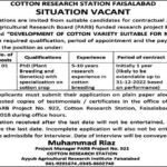 Cotton Research Station FSD Jobs 2018 for Plant Breeding Specialist