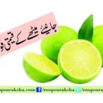 Precious benefits of donkeys