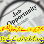 A great news came to the unemployed youth