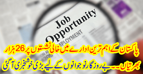 A great news came to the unemployed youth