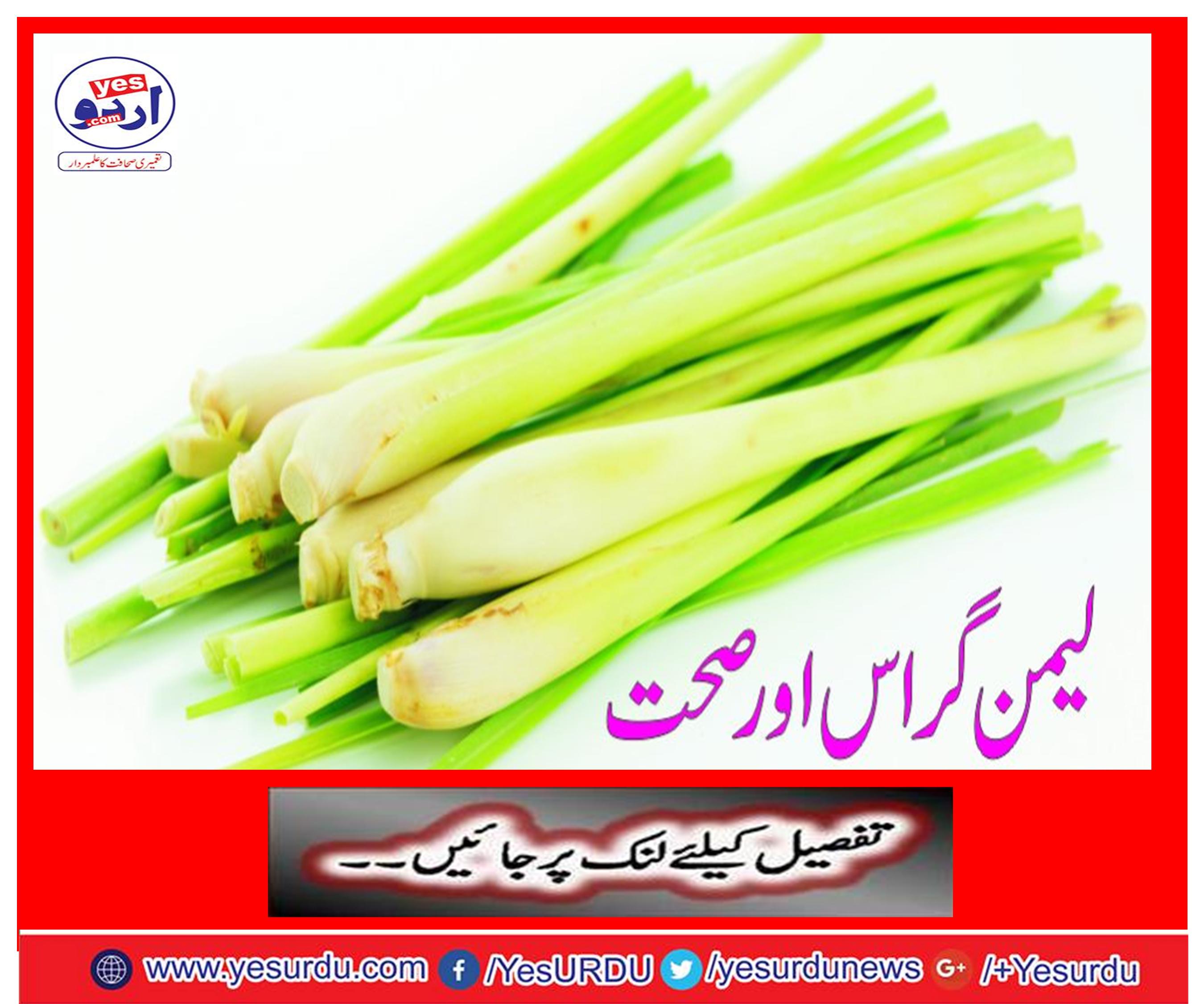 Lemon Grass and Health
